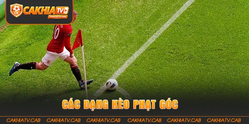Các dạng Kèo Phạt Góc khiến bảng tỷ lệ thêm sôi động