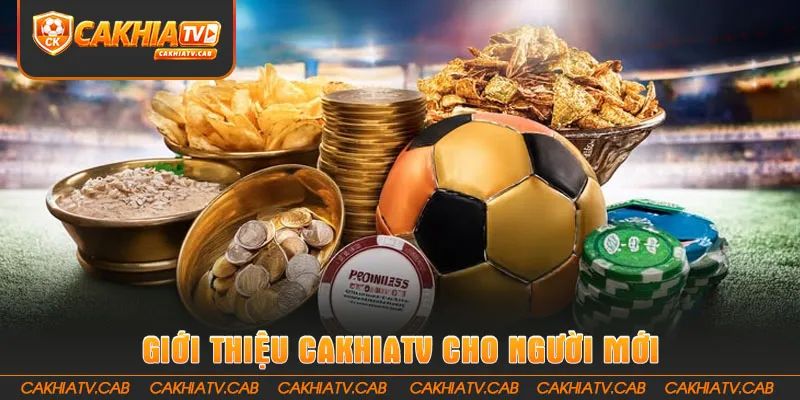 Giới Thiệu CakhiaTV cho người mới