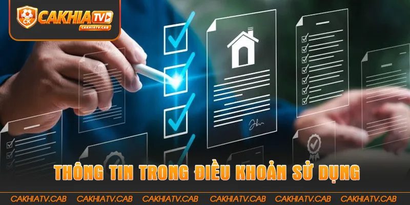 Những thông tin trong điều khoản sử dụng