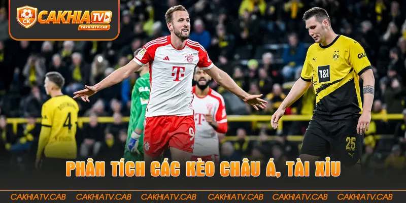 Phân tích chi tiết các kèo châu á, tài xỉu
