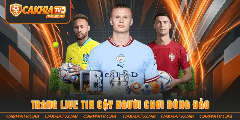 Trang live tin cậy, người chơi đông đảo